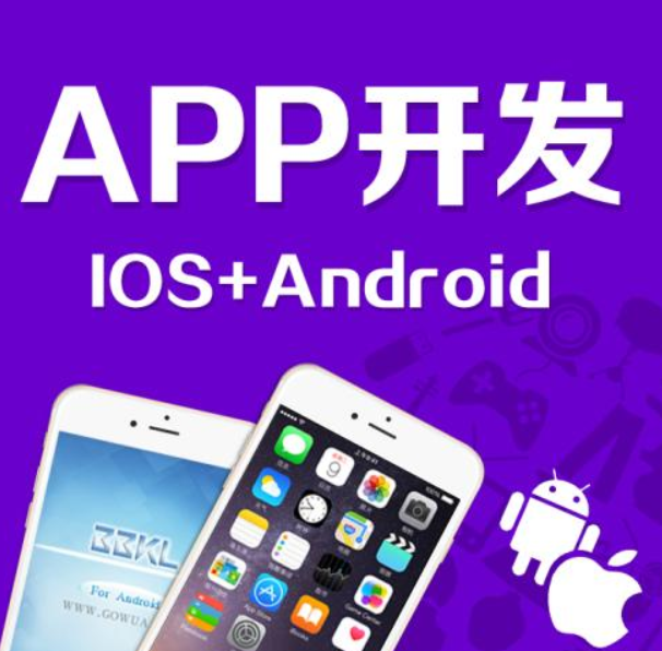 成都武侯區app開發公司哪家好